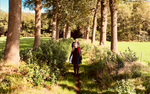 8 good reasons to walk every day